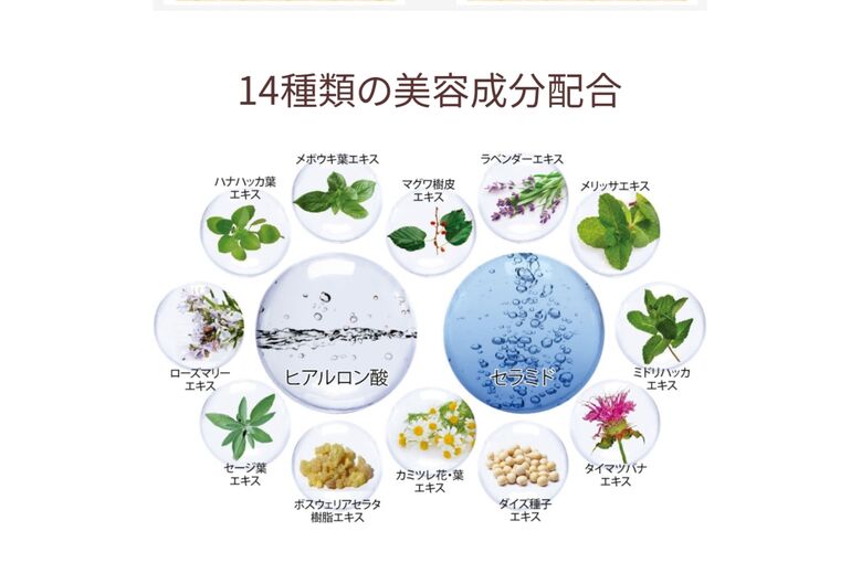 美容成分配合